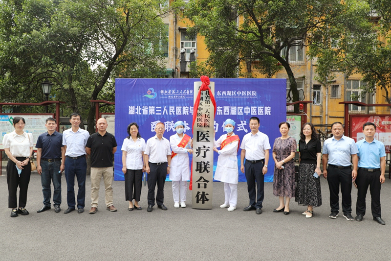 家门口看中医大咖——蓝狮在线平台与东西湖区中医医院结成医疗联合体